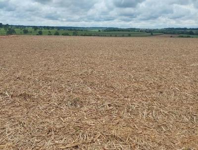 Fazenda para Venda, em Conceio das Alagoas, bairro Fazenda a Venda no Municipio de Conceio das Alagoas MG