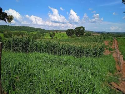 Fazenda para Venda, em Campo Florido, bairro Fazenda para venda Municipio Campo Florido MG