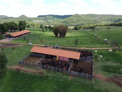 Fazenda para Venda, em Uberlndia, bairro Fazenda para Venda Municipio de Uberlandia MG