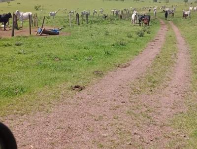 Fazenda para Venda, em Nova Ponte, bairro Fazenda para venda municipio de Nova Ponte MG