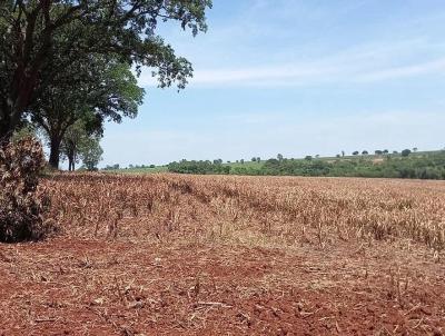 Fazenda para Venda, em Conceio das Alagoas, bairro Fazenda a Venda no Municipio de Conceio das Alagoas MG