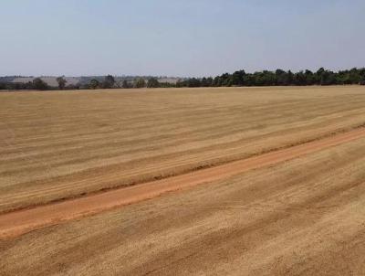 Fazenda para Venda, em Perdizes, bairro Fazenda para venda municipio de Perdizes MG