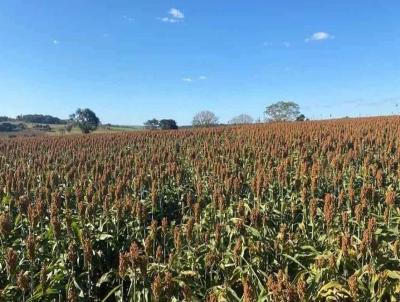 Fazenda para Venda, em Conceio das Alagoas, bairro Fazenda a Venda no Municipio de Conceio das Alagoas MG