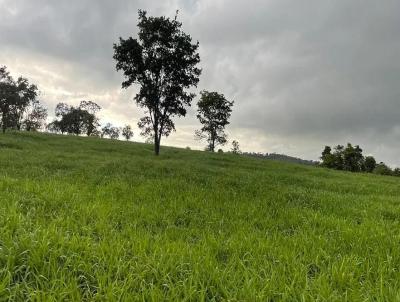 Fazenda para Venda, em Frutal, bairro Fazenda para venda municipio de Frutal MG