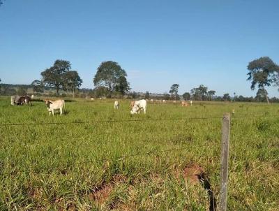 Fazenda para Venda, em Iturama, bairro Fazenda par venda municipio de Iturama MG