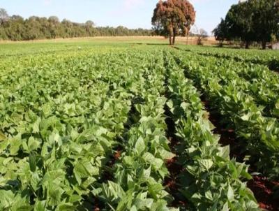 Fazenda para Venda, em Uberlndia, bairro Fazenda para Venda Municipio de Uberlandia MG