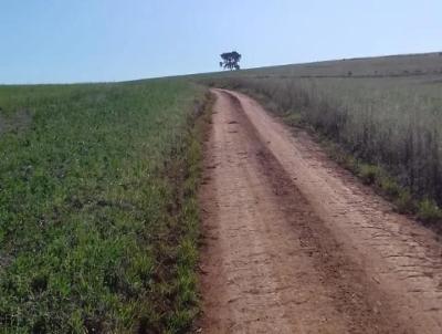 Fazenda para Venda, em Sacramento, bairro Fazenda para Venda Municipio de Sacramento MG