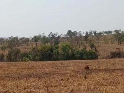 Fazenda para Venda, em Itapagipe, bairro Fazenda para Venda Municipio de Itapagipe MG