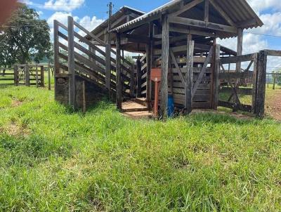 Fazenda para Venda, em Prata, bairro Fazenda para venda municipio de Prata MG