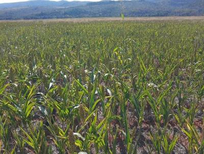 Fazenda para Venda, em Coromandel, bairro Fazenda para venda municipio de Coromandel MG