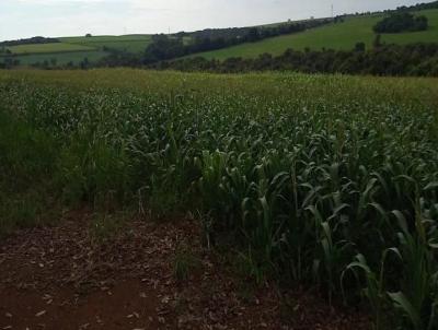 Fazenda para Venda, em Nova Ponte, bairro Fazenda para venda municipio de Almeida Campos MG