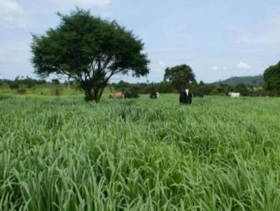 Fazenda para Venda, em Tapira, bairro FAzenda para Venda Municipio de Tapira MG