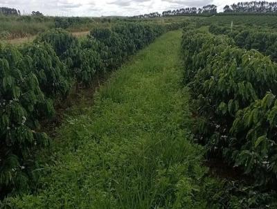 Fazenda para Venda, em Arax, bairro Fazenda para venda municipio de Araxa MG