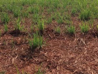 Fazenda para Venda, em Ituiutaba, bairro Fazenda para venda municipio de Ituiutaba MG