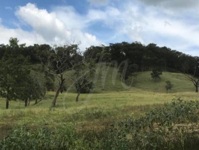 Fazenda para Venda, em Uberaba, bairro Fazenda para venda Municipio de Uberaba MG