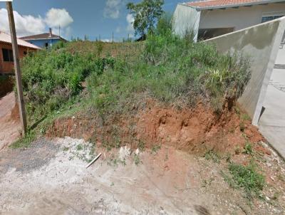 Terreno para Venda, em So Bento do Sul, bairro Serra Alta