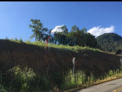 Terreno para Venda, em Guaramirim, bairro Amizade