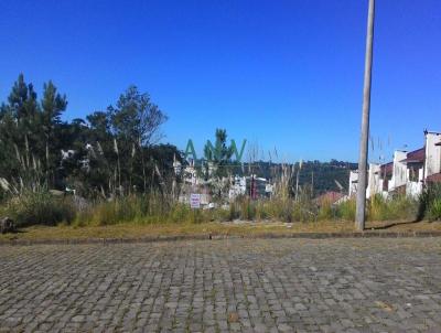 Terreno para Venda, em Caxias do Sul, bairro So Luiz da 6 Lgua