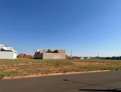 Terreno para Venda, em Presidente Venceslau, bairro Reserva Flamboyant