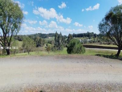 rea Comercial para Venda, em Balsa Nova, bairro Santo Antnio