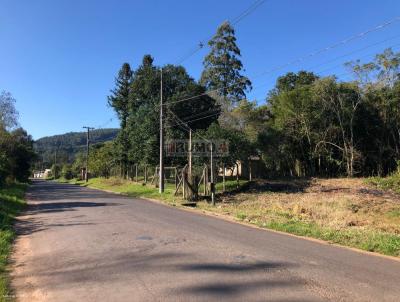 Terreno para Venda, em Trs Coroas, bairro Linha Caf