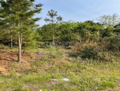 Terreno para Venda, em Trs Coroas, bairro Linha 28