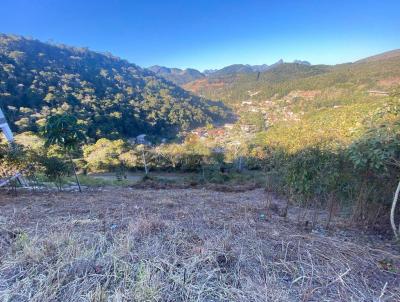 Terreno para Venda, em Terespolis, bairro Albuquerque