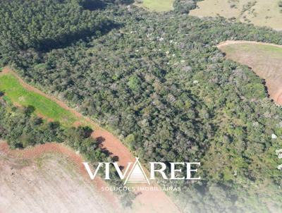 rea para Venda, em Santo Antnio do Sudoeste, bairro Rural