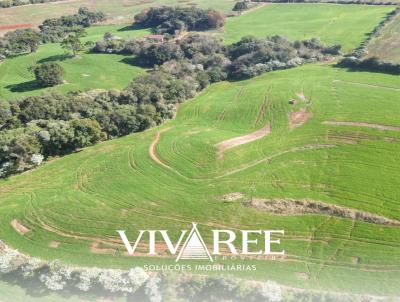 rea para Venda, em Santo Antnio do Sudoeste, bairro Rural