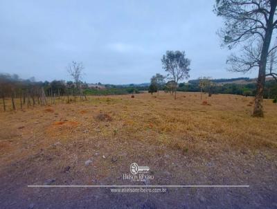 Terreno Rural para Venda, em Aguanil, bairro Zona Rural