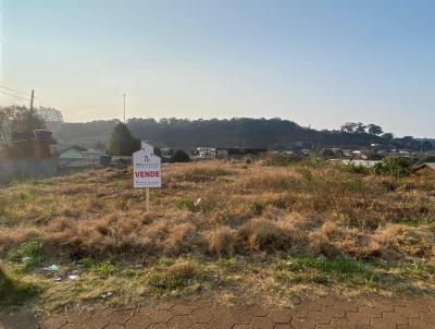 Terreno para Venda, em Palmas, bairro Lagoo