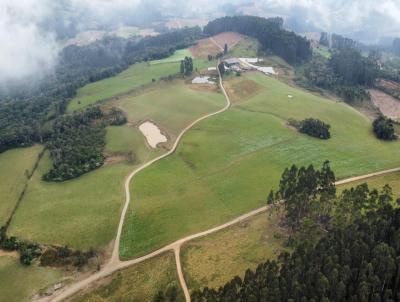 rea Rural para Venda, em Rio do Campo, bairro Rio do Campo