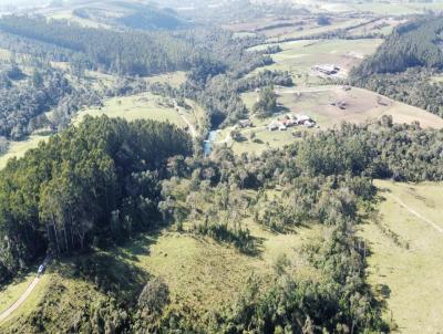 Fazenda para Venda, em Papanduva, bairro Papanduva