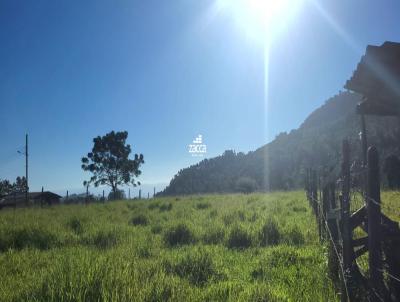 Stio para Venda, em Santa Rosa do Sul, bairro Glorinha, 2 dormitrios, 1 banheiro