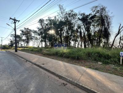 Terreno para Venda, em Ortigueira, bairro Jardim Kovaleski