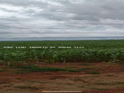 Fazenda para Venda, em Planalto da Serra, bairro FAZENDA