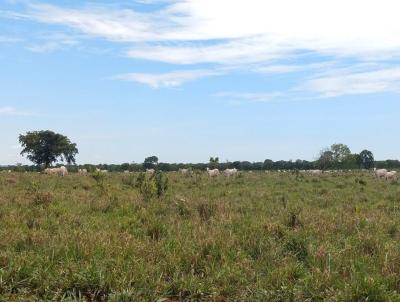 Fazenda para Venda, em Chapado do Sul, bairro Rural