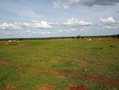 Fazenda para Venda, em Campo Grande, bairro Rural