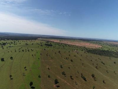 Fazenda para Venda, em Camapu, bairro Rural