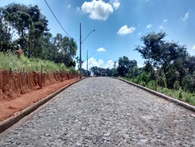 Lote para Venda, em So Brs do Suau, bairro Centro