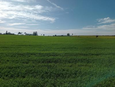 Fazenda para Venda, em Avar, bairro Rural