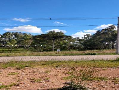 Terreno para Venda, em Caxias do Sul, bairro Serrano