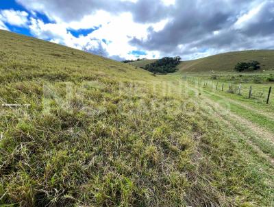 Fazenda para Venda, em Casimiro de Abreu, bairro CENTRO