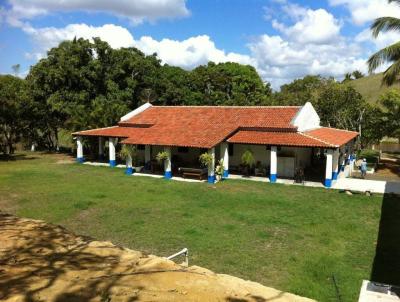 Stio para Venda, em Matriz de Camaragibe, bairro Centro