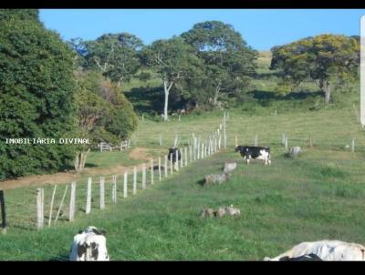 Stio para Venda, em Bueno Brando, bairro 