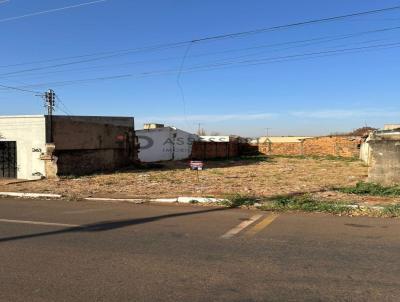 Terreno para Venda, em Jata, bairro Vila Paraso II