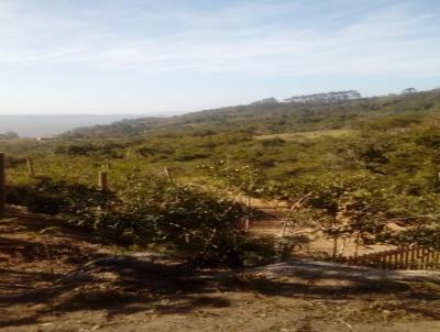 Terreno para Venda, em Imaru, bairro 