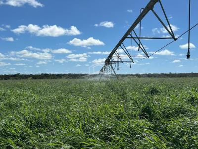 Fazenda para Venda, em Bonito de Minas, bairro ZONA RURAL