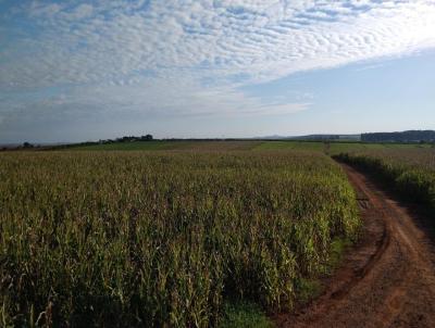 Fazenda para Venda, em Ita, bairro Itai