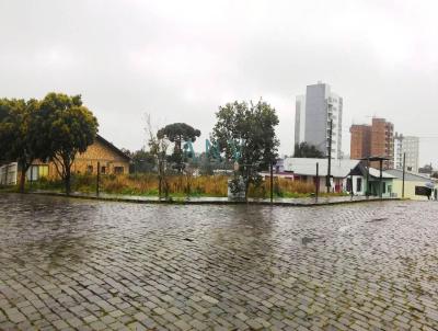 Terreno para Venda, em Caxias do Sul, bairro Desvio Rizzo